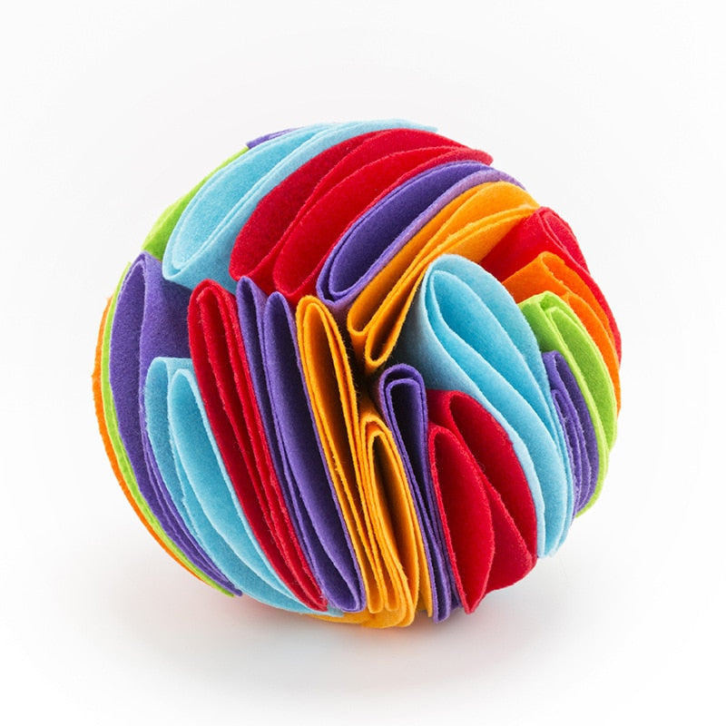 NONOR Dog Sniffing Ball