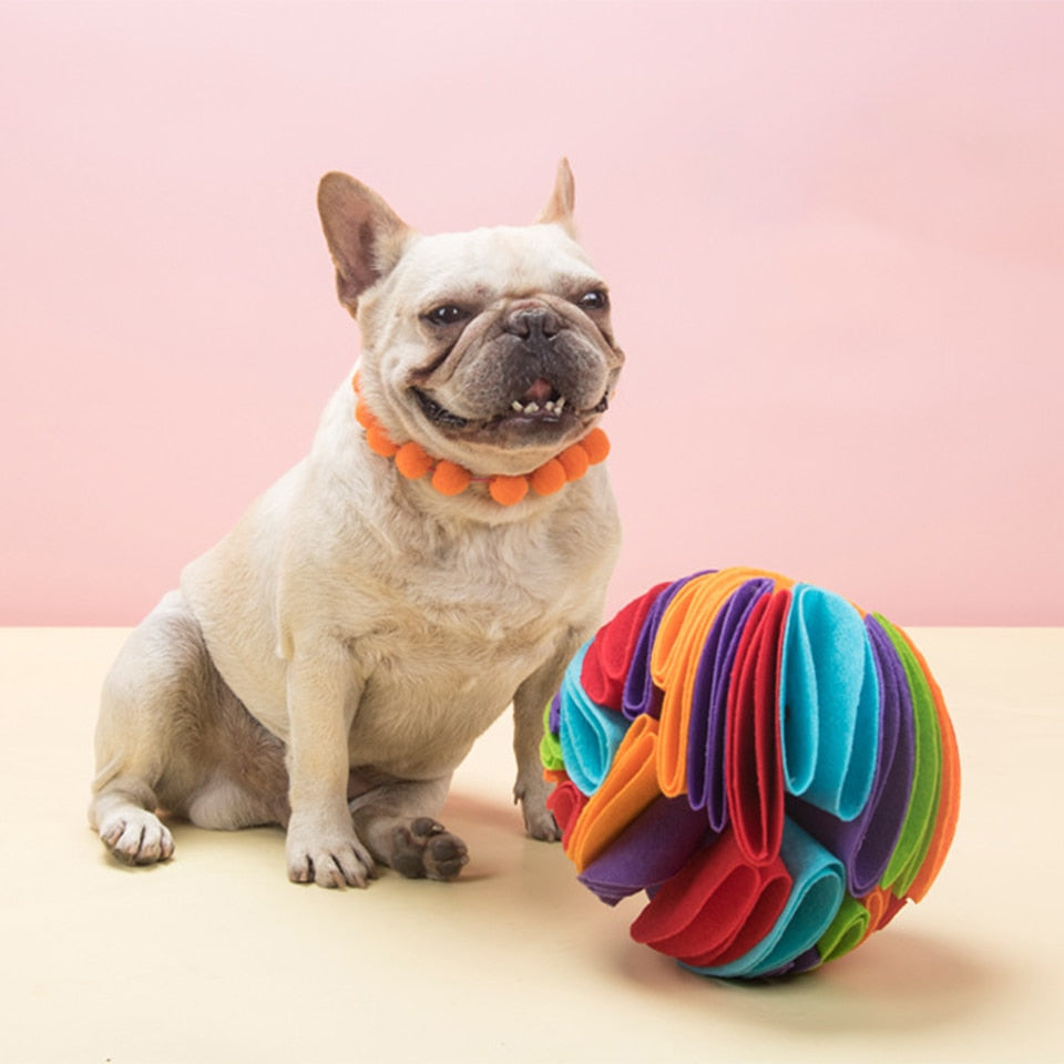 NONOR Dog Sniffing Ball