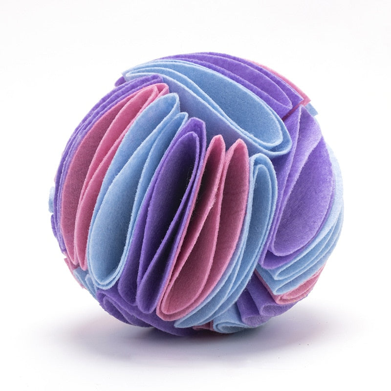 NONOR Dog Sniffing Ball