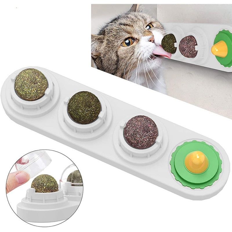Cleaning Teeth Food for Cat