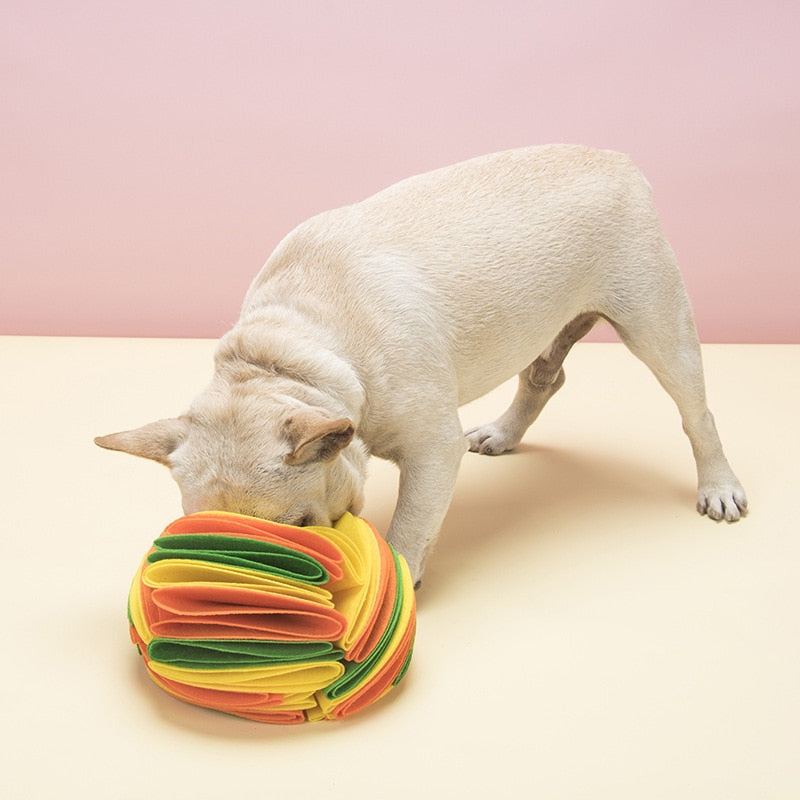 NONOR Dog Sniffing Ball
