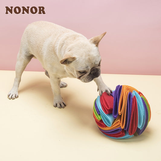 NONOR Dog Sniffing Ball